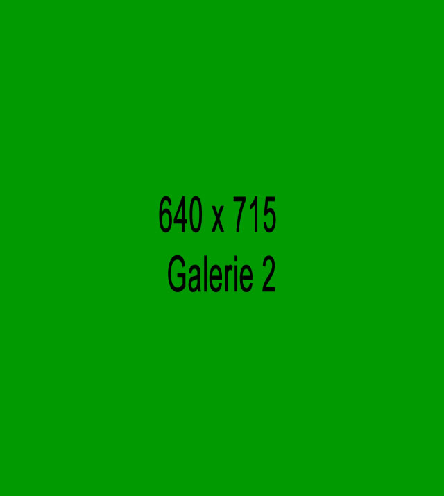galerie1-640x715.jpg