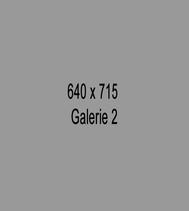 galerie2-640x715.jpg