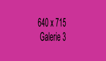 galerie3-640x715.jpg