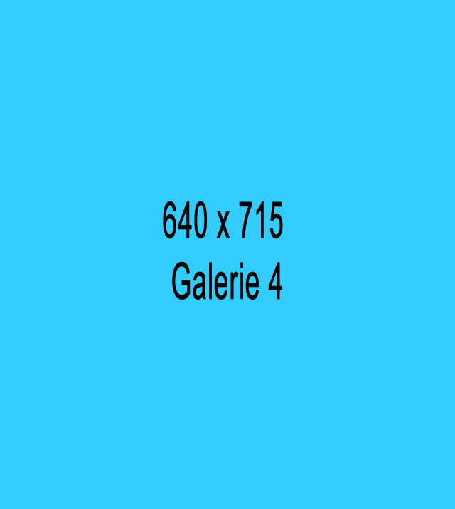 galerie4-640x715.jpg